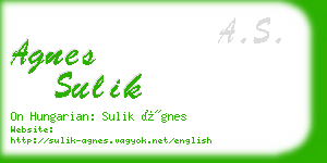 agnes sulik business card